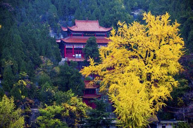 床要怎么放风水才好 床要怎么放风水才好