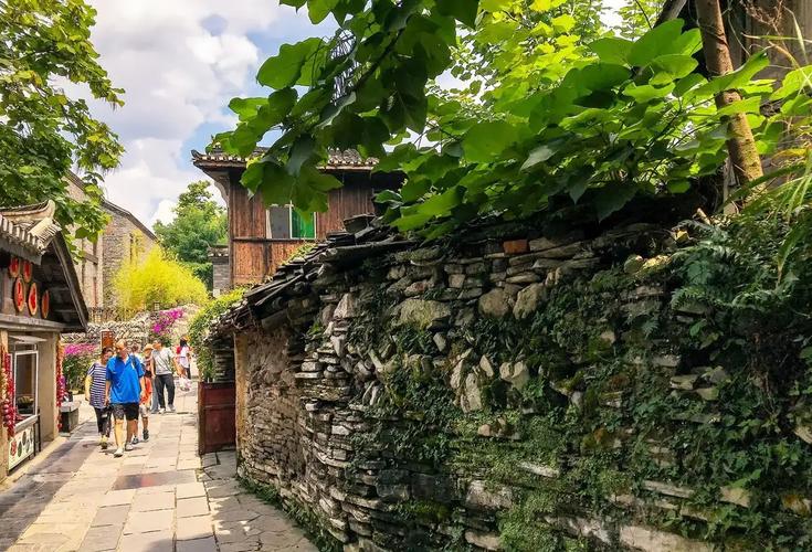 �����ɽ�ھ� ��