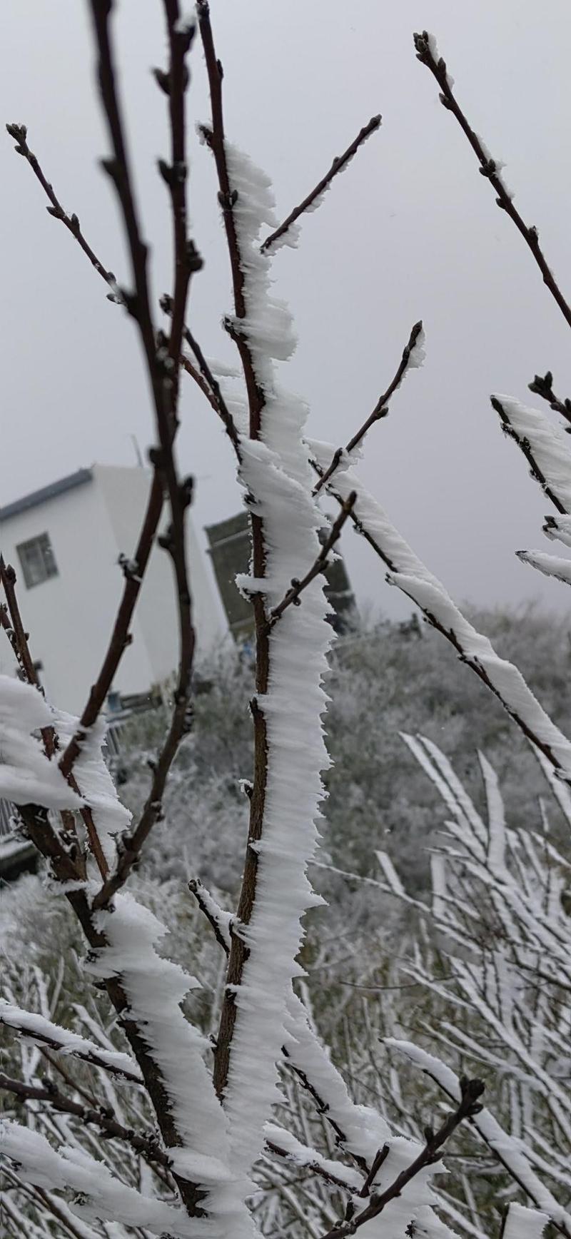 �Ѻ������ϰ�(�Ѻ������ϰ���������)