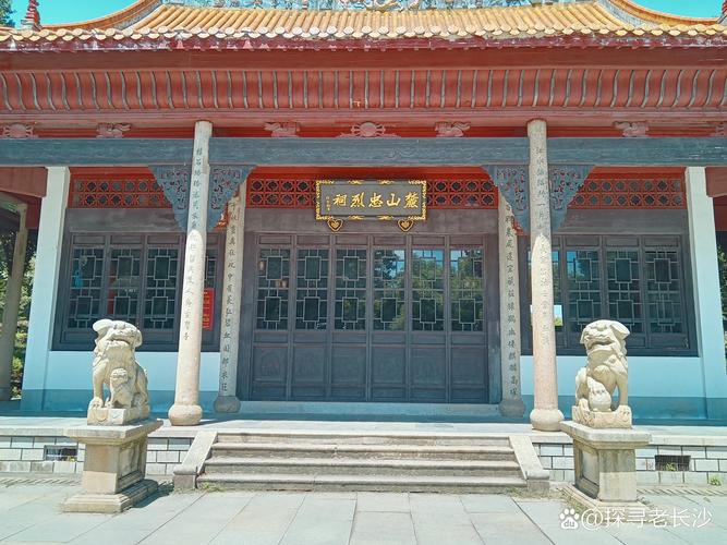 83������Ů2025��������