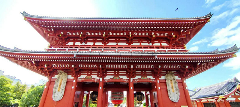 ����÷�����Է�