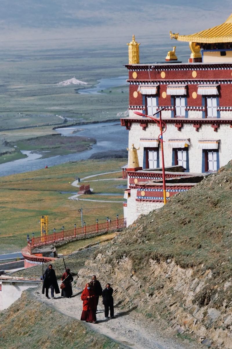 46岁属相婚配 1975每属兔一生有二婚 46岁属相婚配 1975每属兔一生有二婚