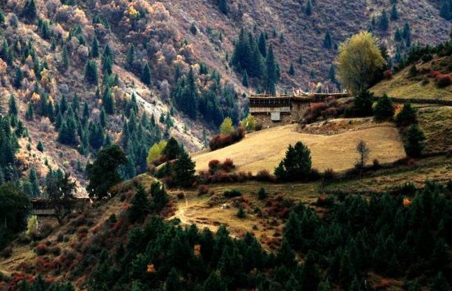 СƷ��溸������ϱ���Ϊ������Ӱ��ˡ�����