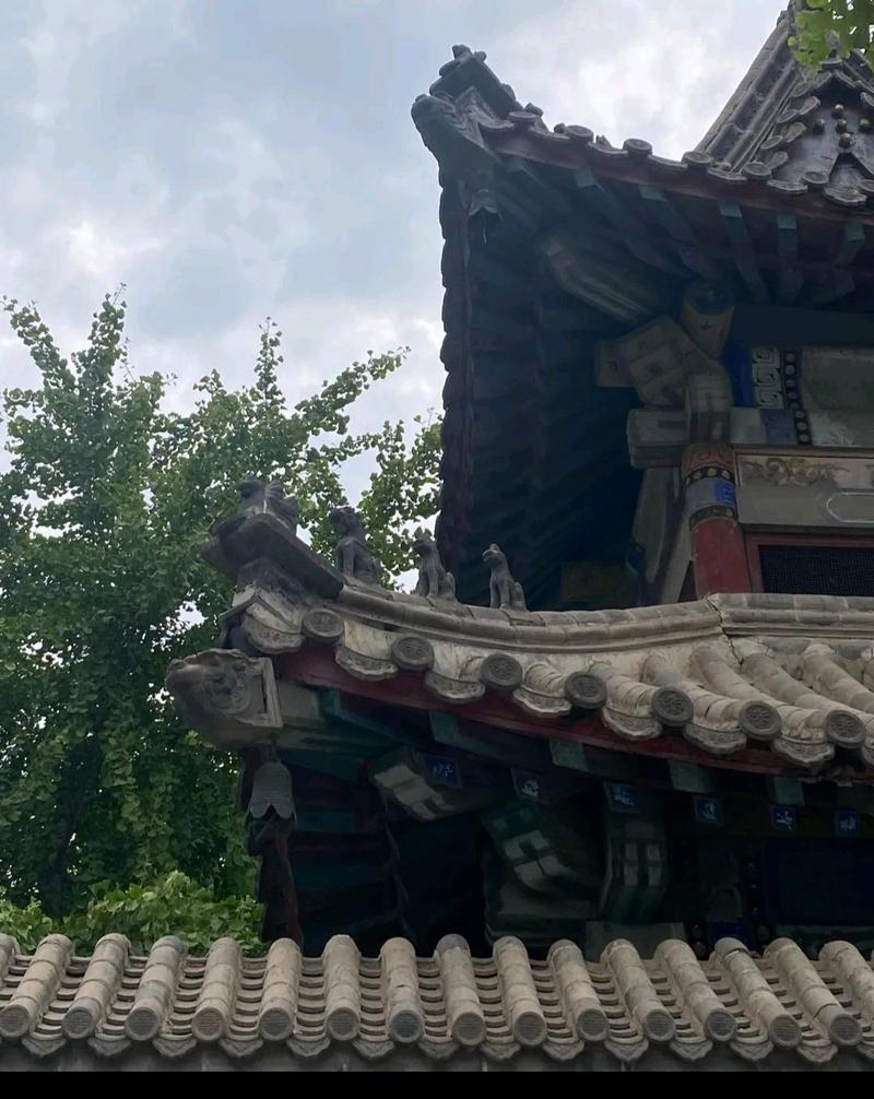 神雕侠侣演员表1985 神雕侠侣演员表1985