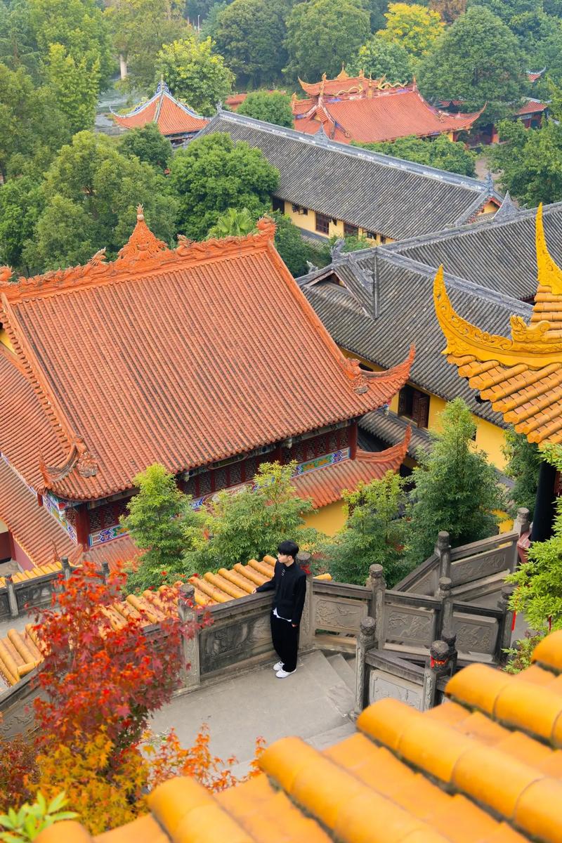 巨蟹座不理人的原因 巨蟹座不理人的原因