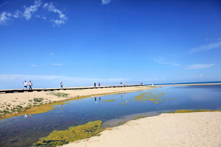 1954年出生虚岁多大 1954年今年多少岁