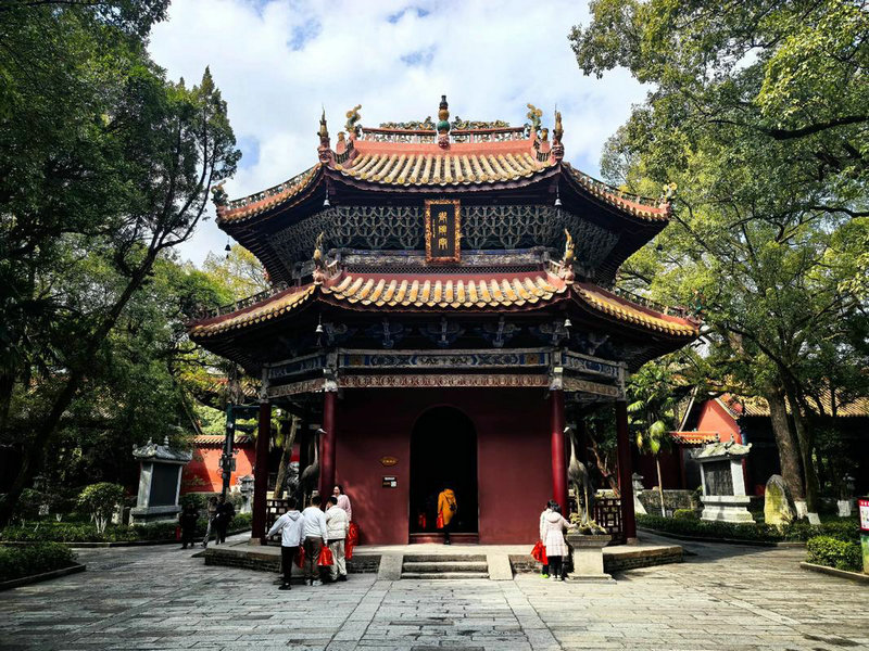 �����к�����2024��1��31�ճ�����