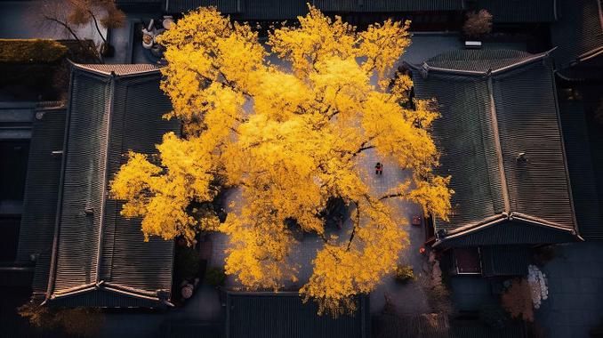 ����δ���������������δ��������������Ƶ