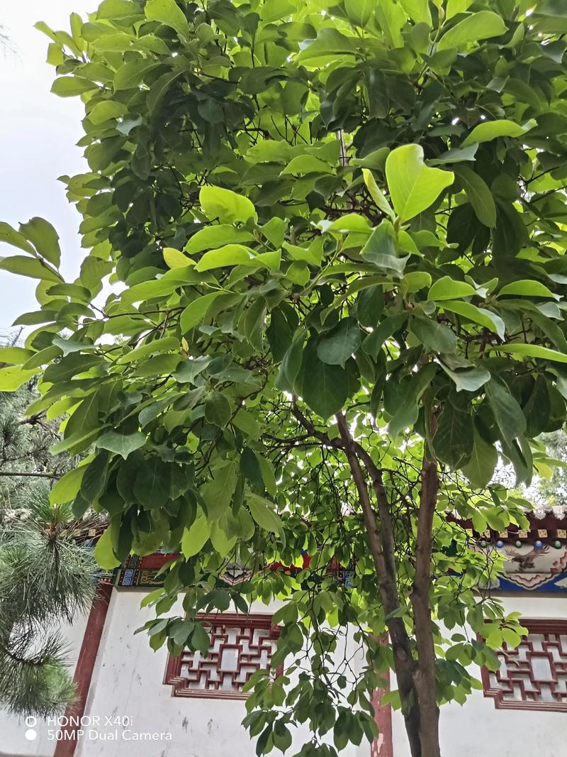 ��Ů�к�ʨ��Ů�����޺ò���