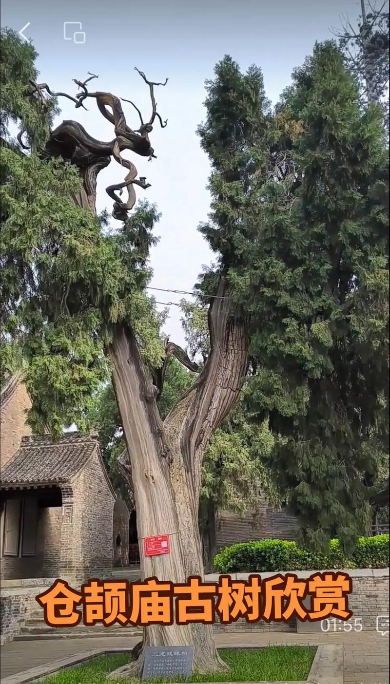 �ɶ������������̣��ҵ��������������һ����