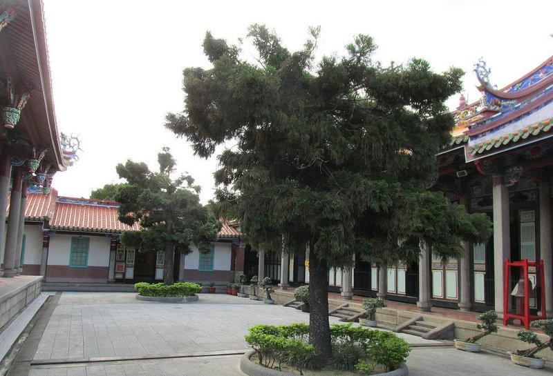 ���鹫Ԣ319 ���鹫Ԣ3����ΰô